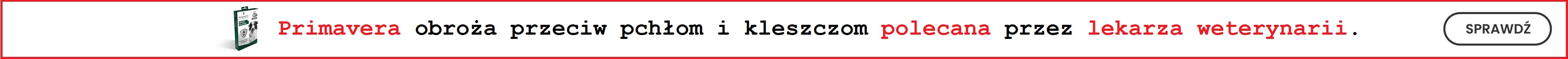 PRIMAVERA Obroża na pchły i kleszcze polecana przez lekarza weterynarii