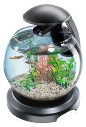 Tetra Cascade Globe - Szklana kula z filtrem czarna 6,8l