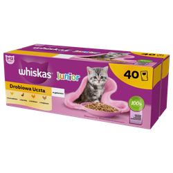 WHISKAS Junior saszetka 40 x 85 g Drobiowa Uczta - mokra karma pełnoporcjowa dla kociąt, w galaretce (kawałki z: kurczakiem, kaczką, drobiem, indykiem)