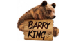Barry King