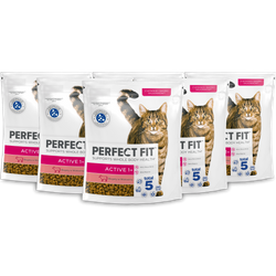 Perfect Fit™ Active (1+) 6x750g – sucha karma pełnoporcjowa dla dorosłych kotów, bogata w wołowinę