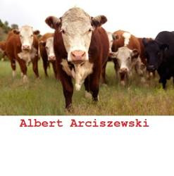 Albert Arciszewski - ekologiczna wołowina