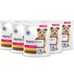 Perfect Fit™ Adult (1+) 6x825 g – sucha karma pełnoporcjowa dla dorosłych psów małych ras, bogata w kurczaka