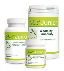 Dolvit Junior Mini 90tab.