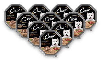 CESAR tacka 14x150g – mokra karma pełnoporcjowa dla dorosłych psów, w sosie, z delikatną wołowiną, indykiem i ziołami