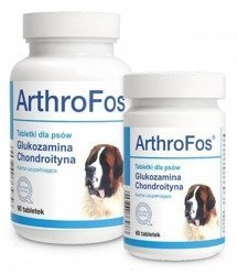 Dolfos ArthroFos 90tab.
