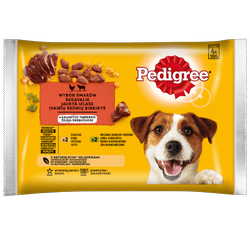 Pedigree Mix smaków w galaretce 4x 100g