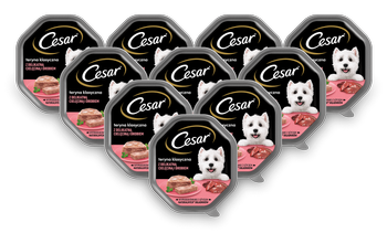 CESAR tacka 14x150g – mokra karma pełnoporcjowa dla dorosłych psów, teryna z delikatną cielęciną i drobiem