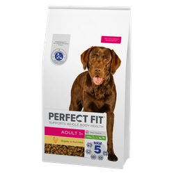 Perfect Fit™ Adult 1+ 11,5 kg – sucha karma pełnoporcjowa dla dorosłych psów dużych ras, bogata w kurczaka