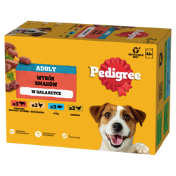 Pedigree Adult Wybór Smaków w galaretce 12x 100g