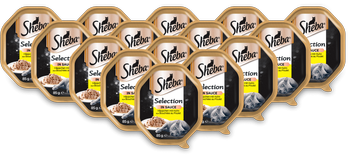 SHEBA® Selection Kurczak w sosie 22x 85g