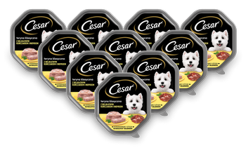 CESAR tacka 14x150g – mokra karma pełnoporcjowa dla dorosłych psów, teryna z delikatnym kurczakiem i indykiem