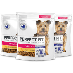 Perfect Fit™ Adult (1+) 3x825 g – sucha karma pełnoporcjowa dla dorosłych psów małych ras, bogata w kurczaka